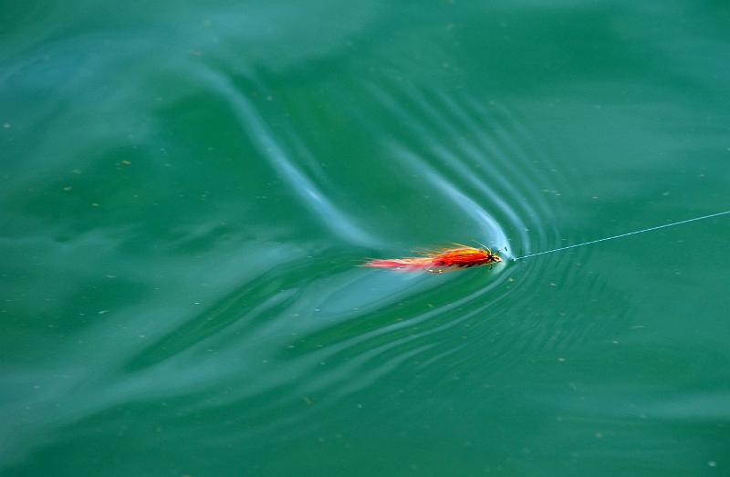 Peche a la mouche a8.JPG